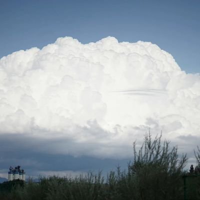 chan_shabby's profile picture. 🌸🌸🌸