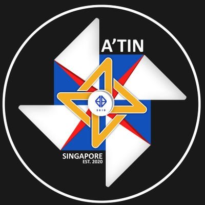 ATINSingapore Profile Picture