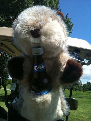 Haney_fella's profile picture. Now tell me who's your housekeeper and what you keep in your house?