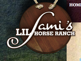 We are a family farm that has bred, shown and sold World Champion AMHA Miniature Horses since 1978 to all parts of the world.