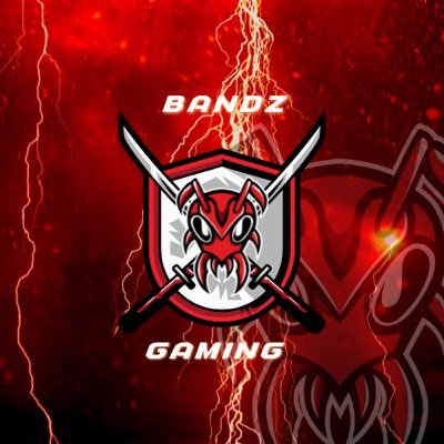 Gvnggamingg's profile picture. @Bandzgamingg on instagram, twitch - @wessobandz main