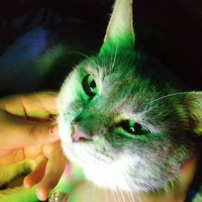 DIMINUTOS8's profile picture. Animación, dibujo de anatomía, director, fotografía general, escenografía, estoy aprendiendo a dibujar fondos para animación, quiero ser escritor y TENGO 16