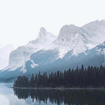 Fearlessfuture9's profile picture. 