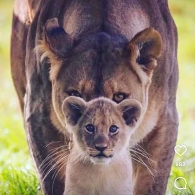 Mhm77066634's profile picture. 