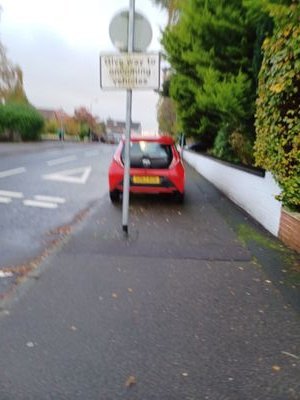 G61_YPLAC Profile Picture