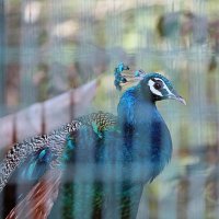 M Chandrasheker (@chandrasheker_m) 's Twitter Profile