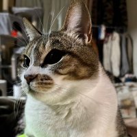 むるむる (@konetiti0814) Twitter profile photo