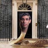 🐍🐍🐍Rishi the snake charmer 🐍🐍🐍