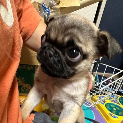 rLP6pUSOgC3Hj7A's profile picture. 