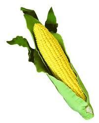 CCLendMeYourEar's profile picture. What do you think? BREW with your thoughts, your voices, your opinions.