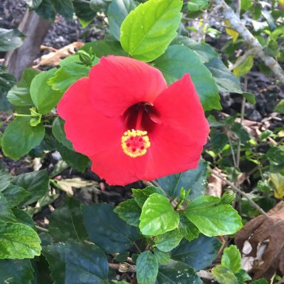 Dre75703350's profile picture. 