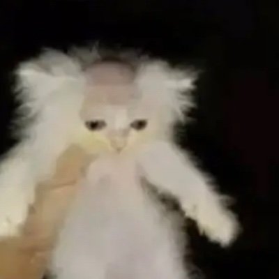 reconator3000's profile picture. 