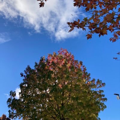 PFWestNorwood's profile picture. Planet Friendly Local People