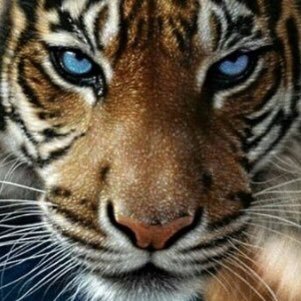 Jusqu’ici tout va bien. @La_Note_Bleue@climatejustice.social https://t.co/uRDaZrBicS