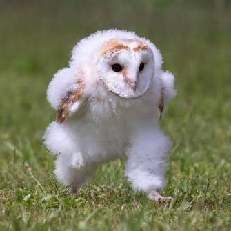 uMstAhHuOa's profile picture. 雑種、精神疾患持ちです 。フォロワー一旦整理しました。