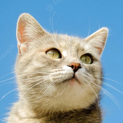 wefiends487's profile picture. 