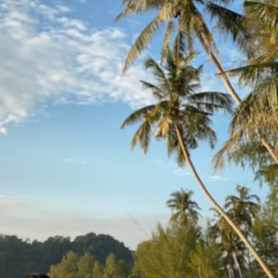 Thanaphon8797's profile picture. 