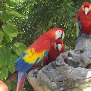 Rcy_bi5's profile picture. 