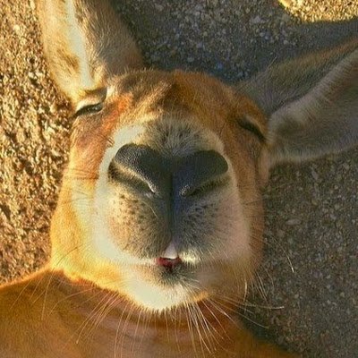resqun11's profile picture. 