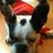 y_atique's profile image