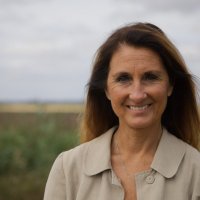 Beverly Dixon (@bevdix) 's Twitter Profile