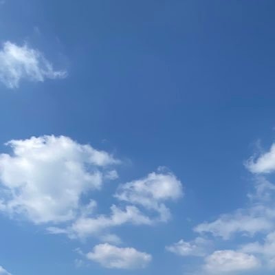浅葱さんのプロフィール画像
