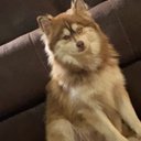 Caleb Sparks - @Csparks731 - Twitter