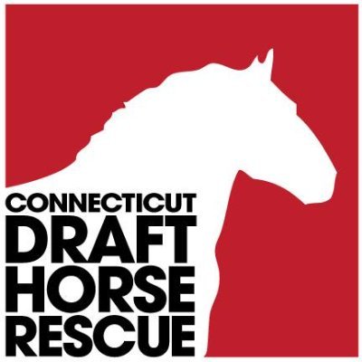 Lovingly Rescuing & Rehabilitating Draft Horses~Adopt, Foster, Donate, Volunteer, Educate. @CTDraftRescue