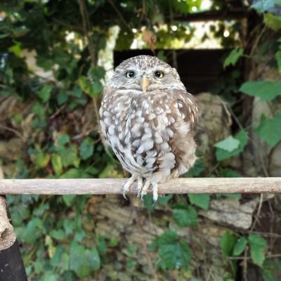 Qnz0K's profile picture. 株情報検索用
バリュー長期投資