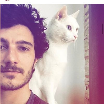 IPA 🩺 (université de Bordeaux) //AE échocardiographie 🫀// Globalement je regarde des cœurs en 2D ✌️cat lover 😻 F1 enthousiaste ++ 🏎️