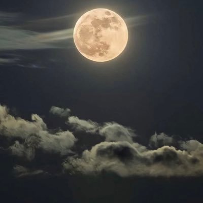 Medina91041's profile picture. - امنيتي هي الجنة في الحياة الابدية - سبحان الله وبحمده سبحان الله العظيم