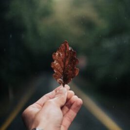 hiro42127's profile picture. 以前から耳鳴りが気になり早10年…ポジティブに付き合っています。