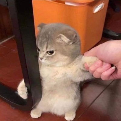 _mscp_'s profile picture. bts costis !