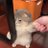 _mscp_'s profile image