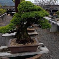 みき@MK (@4545_bon) 's Twitter Profile Photo