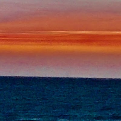 stolz_finn's profile picture. ALWAYS BE A GAMBA #GambaDogs