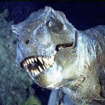 Sucori1's profile picture. .