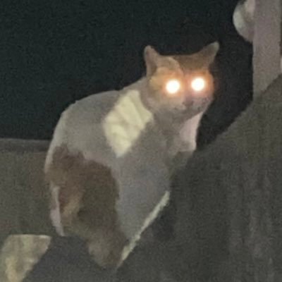 innamelm's profile picture. 성인 | 꿍프라니까 꿍프라느뇽 오라가챠