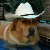 clown (@clown_300) 's Twitter Profile Photo clown (@clown_300) 's Twitter Profile Photo