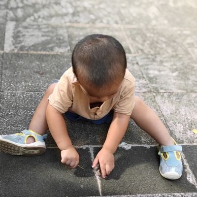 littlepeiphen's profile picture. 