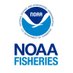 NOAA Fish Southeast (@NOAAFisheriesSE) Twitter profile photo