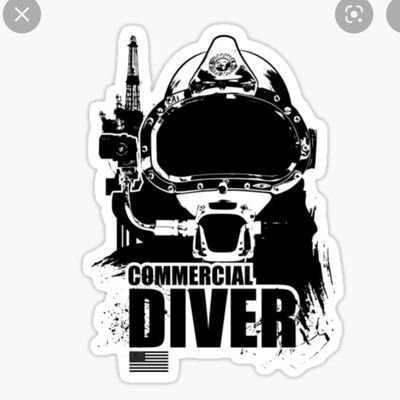 LooseCannon1776's profile picture. 