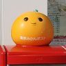 hello_ohmori's profile picture. クイズ