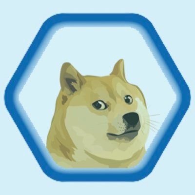 DogeHODLer19