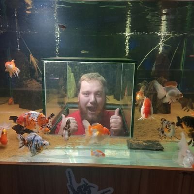 TranterShow's profile picture. It's about Tranter Show