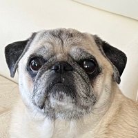 JB COOPER (@chargsd) 's Twitter Profile