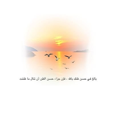 لعلك تجد هُنا رسائل تُلامس قلبك اللطيف🌼

#تابعني اتابعك ✋