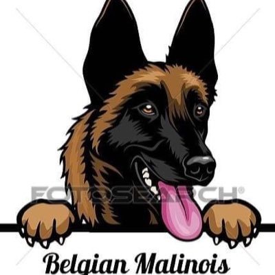 Retired nurse , LEO family, Marine corps family , I love my Belgian Malinois , and all other animals . I LOVE THE UNITED STATES 🇺🇸🇺🇸🇺🇸🇺🇸🇺🇸🇺🇸🚫DMS