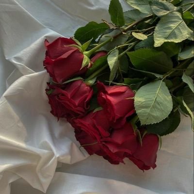 لِكُل، لوز، مِنا، سُكر، يُقويه❤‍🩹!