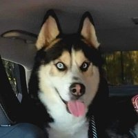 GreenHouse (@_greenhouse_) 's Twitter Profile